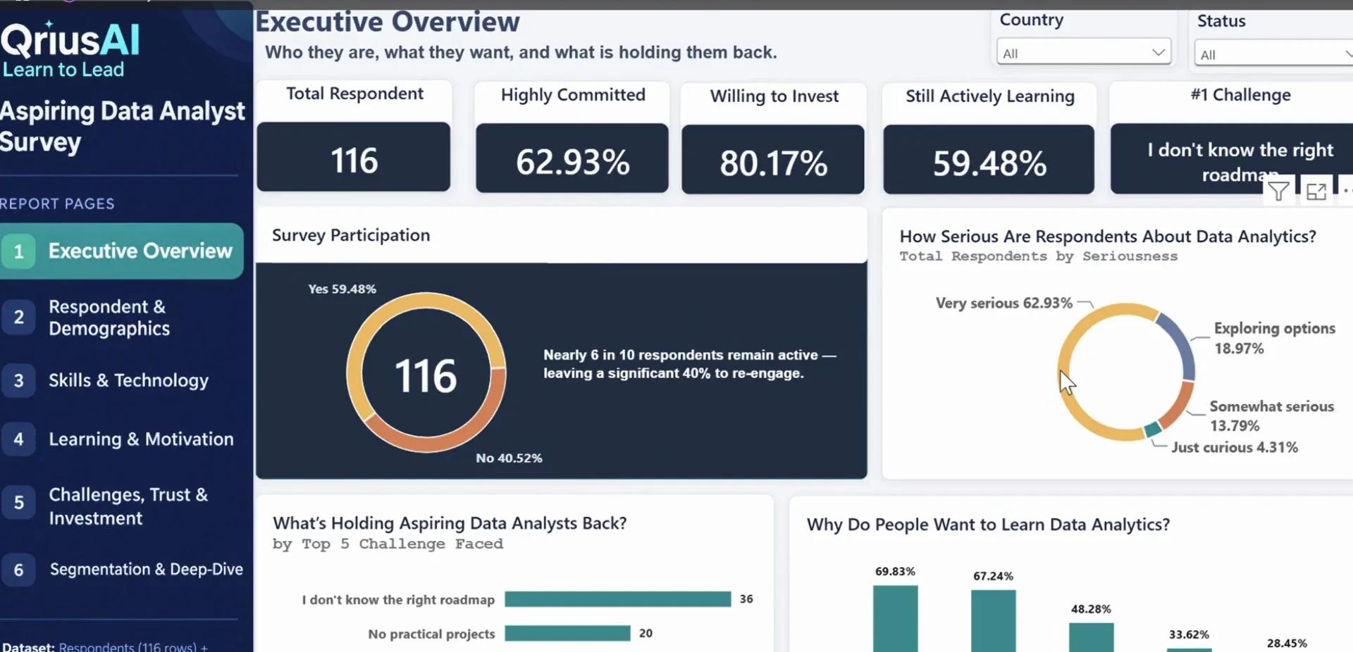 Aspiring Data Analyst Survey Dashboard — dashboard preview